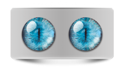 Звериные_20252