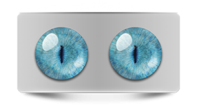 Звериные_20255