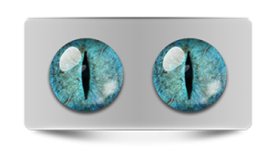 Звериные_20257