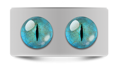 Звериные_20258