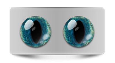 Звериные_20260