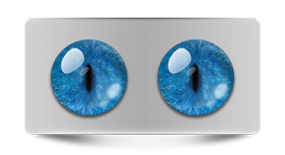 Звериные_20261