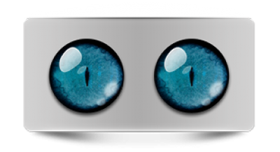 Звериные_20264