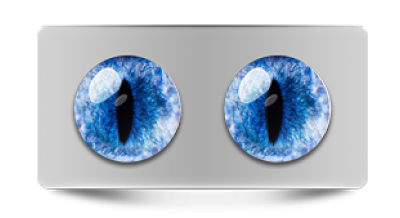 Звериные_20265