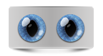 Звериные_20266