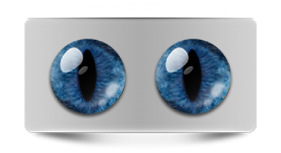 Звериные_20267