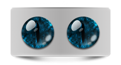 Звериные_20268