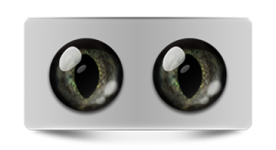 Звериные_20273