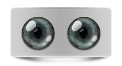 Звериные_20276