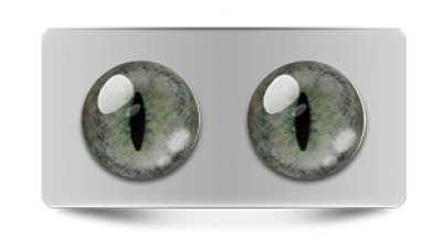 Звериные_20280