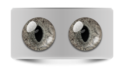 Звериные_20281