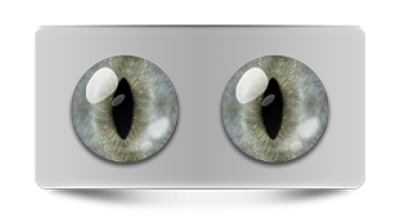 Звериные_20282