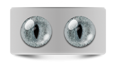 Звериные_20283