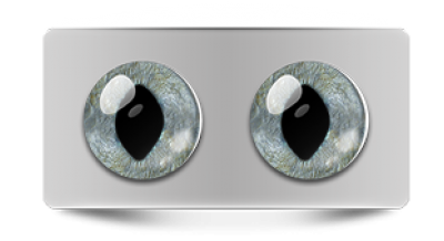 Звериные_20285