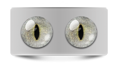 Звериные_20287