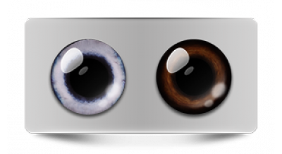 Звериные_20500