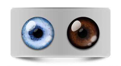 Звериные_20502