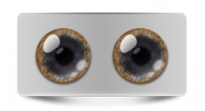 Звериные_20517