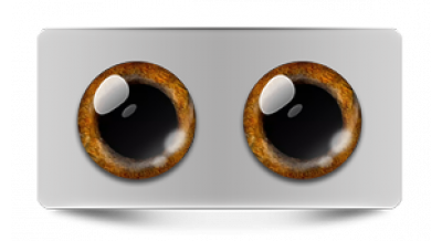 Звериные_20519