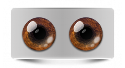 Звериные_20527