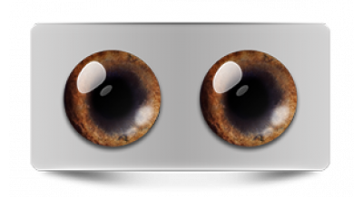 Звериные_20530