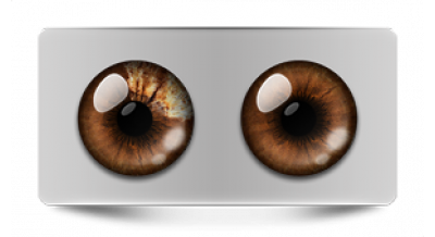 Звериные_20531