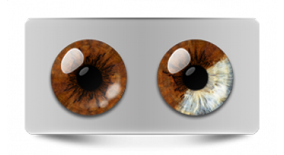 Звериные_20536