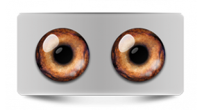 Звериные_20537