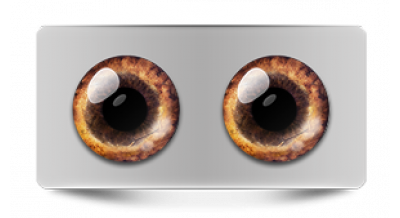 Звериные_20539