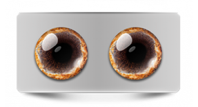 Звериные_20540