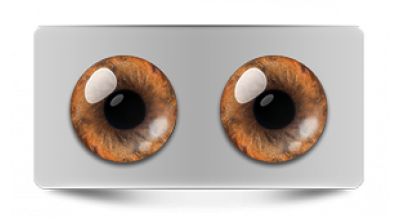 Звериные_20544