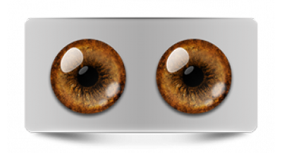 Звериные_20546