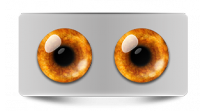 Звериные_20552