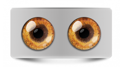 Звериные_20553