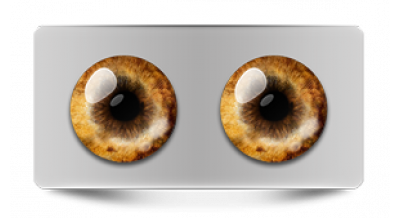 Звериные_20555