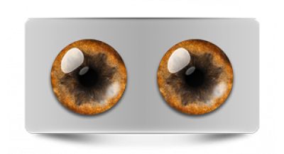 Звериные_20557