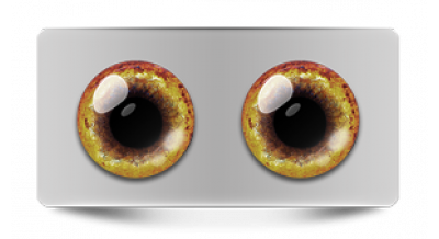 Звериные_20562