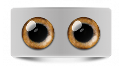 Звериные_20563