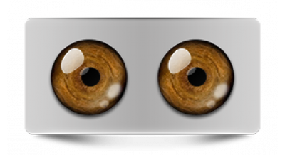 Звериные_20567