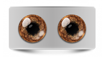 Звериные_20569