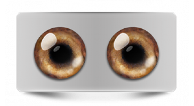 Звериные_20570