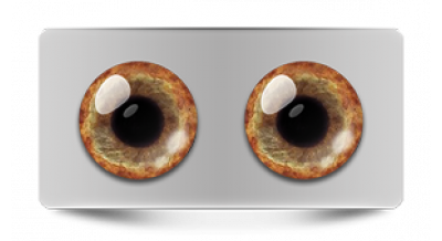 Звериные_20574