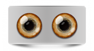 Звериные_20587