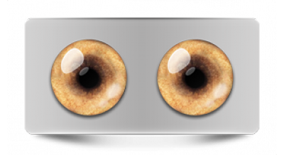 Звериные_20590