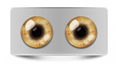 Звериные_20591