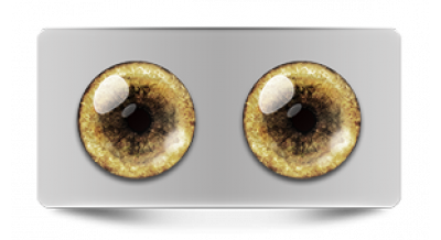 Звериные_20593