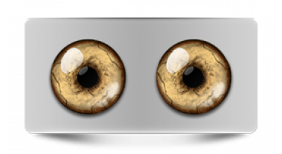 Звериные_20594