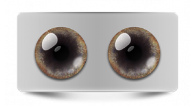 Звериные_20599