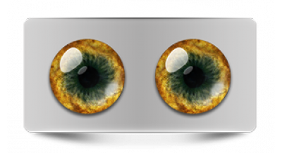 Звериные_20600