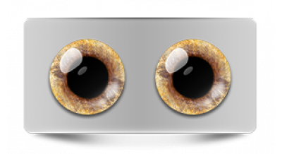 Звериные_20601